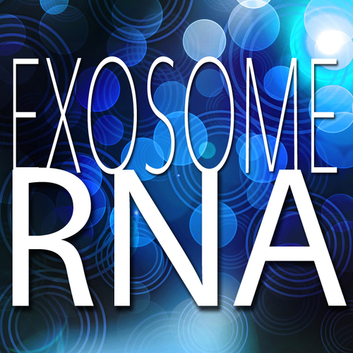 Exosome RNA Profile