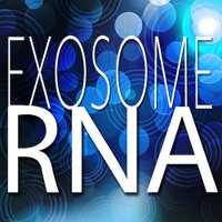 Exosome RNA (@exosomerna) 's Twitter Profile