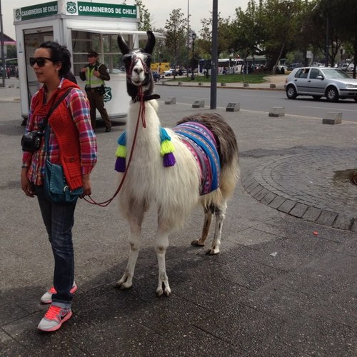 oconnell_darren's profile picture. 