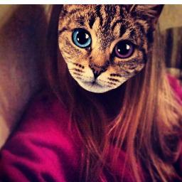 anramovich's profile picture. 