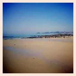 _brandiana's profile picture. Lorraine , Bretonne et Globetrotteuse...