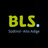BLS_SouthTyrol's profile image