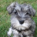 Bruno Cedillo - @CedilloMr - Twitter