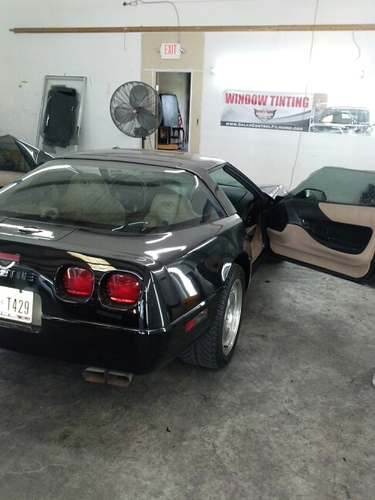 TintGlass's profile picture. 