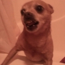 John Badgley - @badgemedic - Twitter