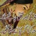 SBAA PARVEEN (@sbaapk) Twitter profile photo