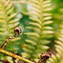 Clare Warren - @geminiclare - Twitter