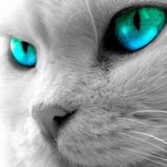 Kucherenko93's profile picture. 