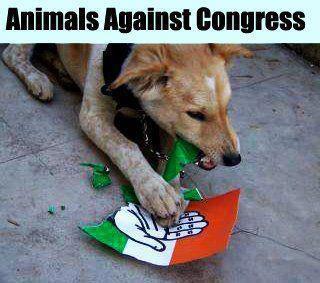 MODI mukt  BJP