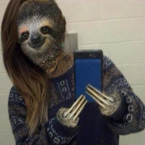 BeausLushAbs's profile picture. IM A SLOTH, HI HERE FOR 5 DIRTY MELBOARN PIGS AKA THE JANOSKIANS AND ARIANA GRANDE!!! 0/5 though :/ mariam follows :)