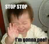 I tweet you hilarious facts!