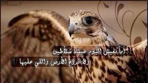 اثني تحياتي عدد وبل الأمطار،،،على سسليم وكل خصم تكيده
