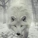 Daniel Hood - @haruglory7 - Twitter