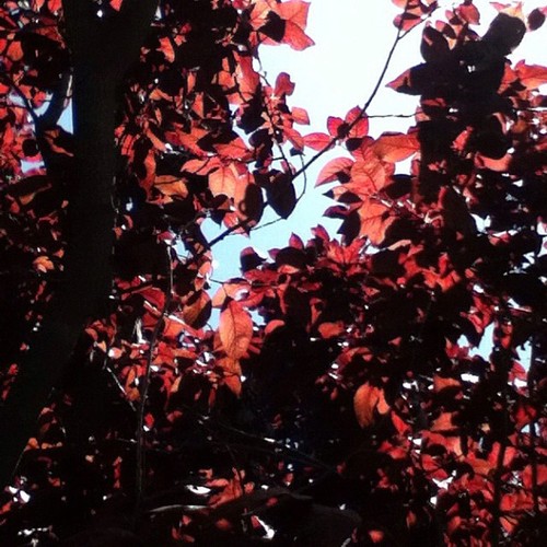 liteatib8051's profile picture. I really despise parody accounts on twitter