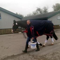 lindseyktaylor's profile picture. 