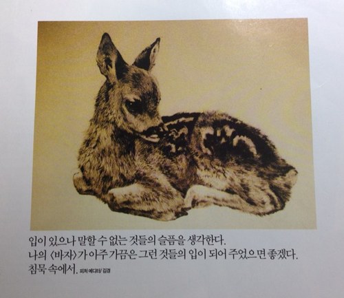 빙구.