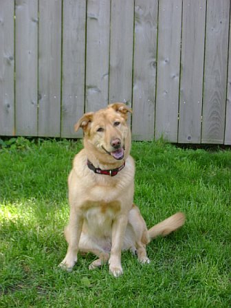 cwendtESO's profile picture. 