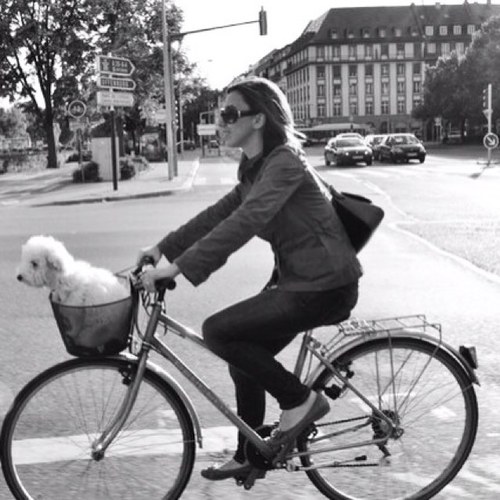 Dadi_1982's profile picture. ..svogliata ma non troppo..ispirata dalla fantasia!..