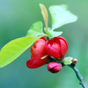 Francine Thomas - @Francine2269 - Twitter