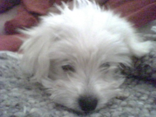 PMEND9's profile picture. 