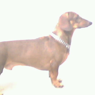 evelyn2566's profile picture. 