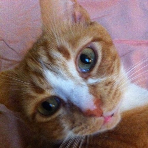 TBurke66's profile picture. 