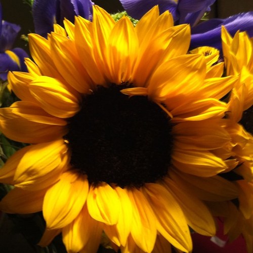 thotch73's profile picture. 