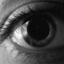 benassekri's profile picture. http://t.co/n0KbZZ1mYY