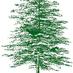 NI Farm Forestry (@nifarmforestry) Twitter profile photo NI Farm Forestry (@nifarmforestry) Twitter profile photo