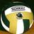 VieraVolleyball's profile image