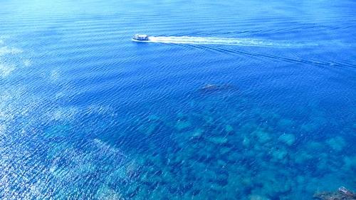 Tibosdn's profile picture. 