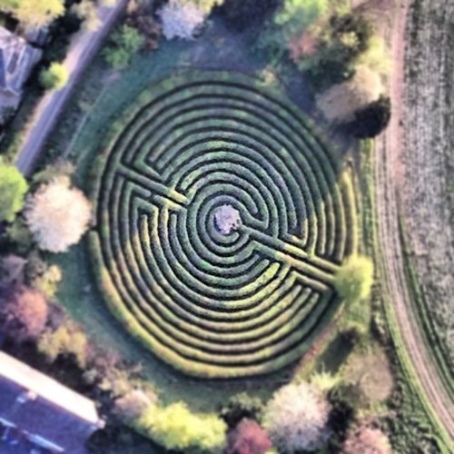 dysonsrage's profile picture. 