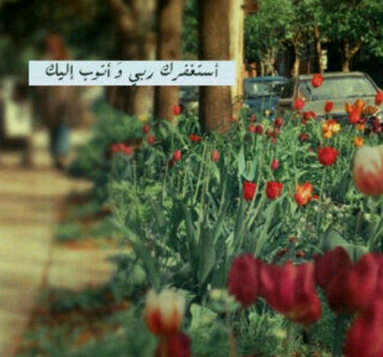 لا اله الا الله وحده لا شريك له له الملك وله الحمد وهو على كل شيء قدير♡وحدوه سبحانه