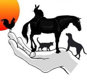 L'association Les sans colliers de Corse est une association pour la défense et la protection des animaux.