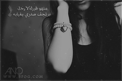 يا شيب عيني من غيابك..!