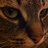 bahioute's profile image