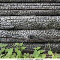 Thisiswhatwedoo's profile picture. We work mostly in wood. Recycled, salvaged, dumpster-robbed, skip-searched materials are up-cycled to create bespoke, one-off pieces.