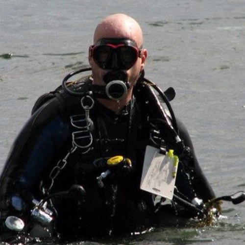 SteveRoyer1's profile picture. Dive dive dive!