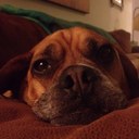 Ashley Renner - @Ash8324 - Twitter