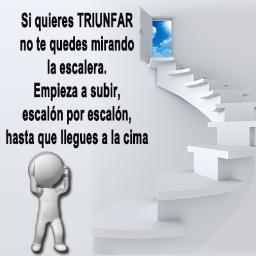 Descubre como el negocio más rentable que puede transformar tu vida