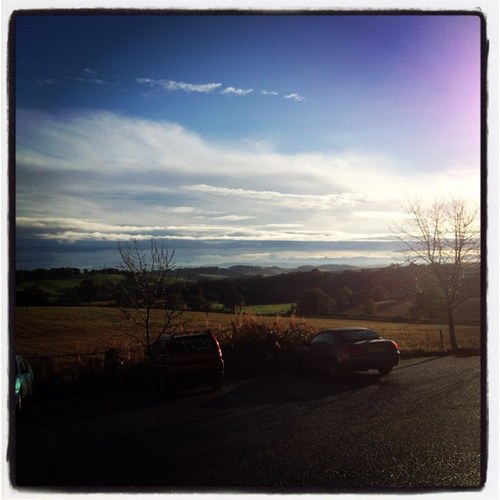 Lilyblue1979's profile picture. 