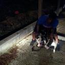 Daniel Ogletree - @DanielOgletree2 - Twitter