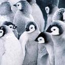 Nancy Faircloth - @NancyLou93 - Twitter