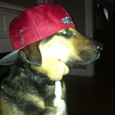 Clake40's profile image