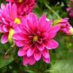 ikea_hotel's profile picture. My name is Olgati, and I live in Dover, the coolest place I know. I enjoy real users who do follow back. Visit my site.