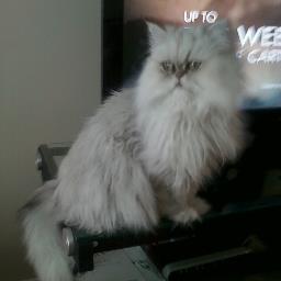 smcbride2's profile picture. 