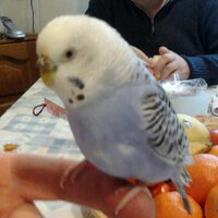 isabel (@monroy64) 's Twitter Profile