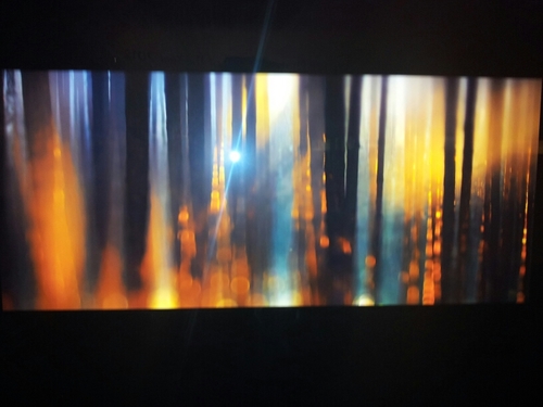 josnicolson's profile picture. 