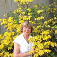 Vija Kilbloka (@kilbloka) 's Twitter Profile Photo