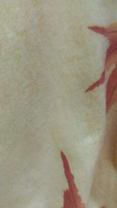 wisenight's profile picture. this is wisely